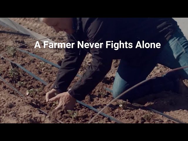 A farmer never fights alone