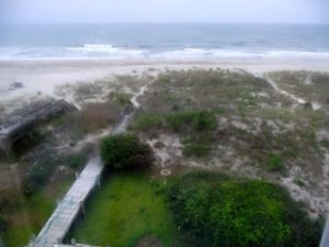 view