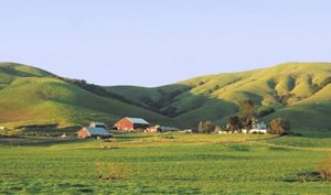 Agriculture in Marin County