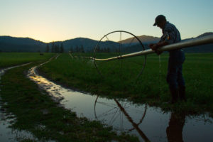 Protecting water resources