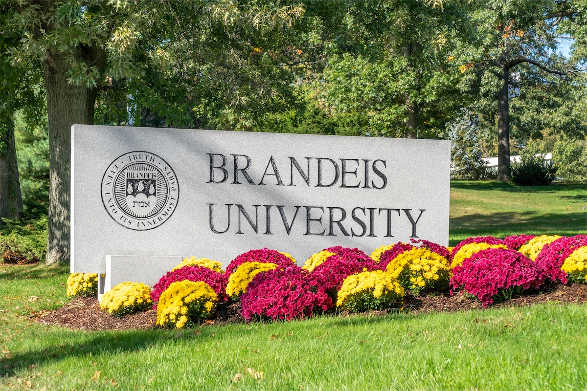 The Hill Brandeis follows the herd on racebased hiring and admissions