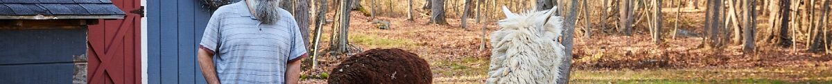 Alan DiPietro and his alpacas