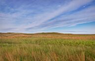 Expansive Nebraska plains, nature's untouched beauty.