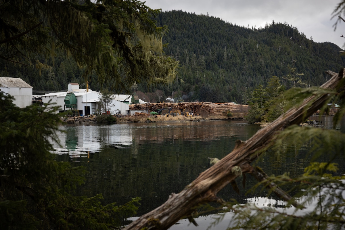 A sawmill in a rugged terrain in Southeastern Alaska