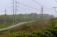 Power lines cross a road located in a forested area.