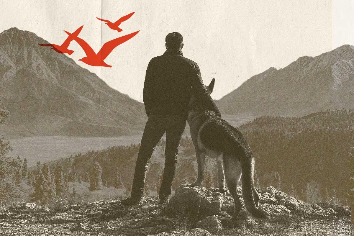 A picture of a man next to his dog looking out over a mountainscape
