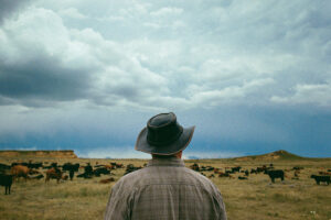 Introducing <em>Free to Flourish</em>