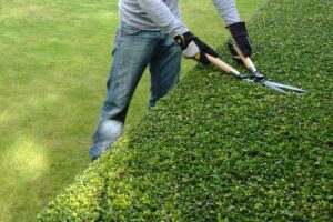 Court strikes down Houston’s race-based contracting program
