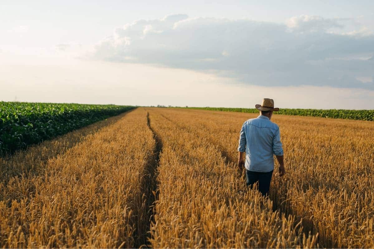 The Hill: When farming requires federal permission